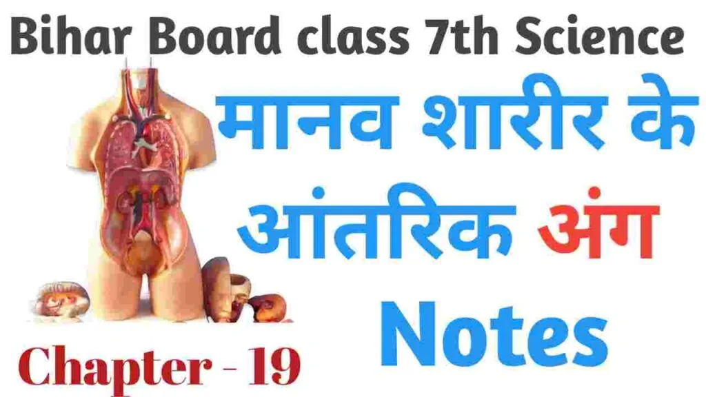 bihar board class 7 science solutions chapter 19