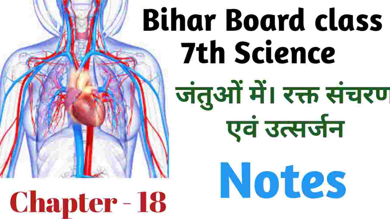 bihar board class 7 science solutions chapter 19