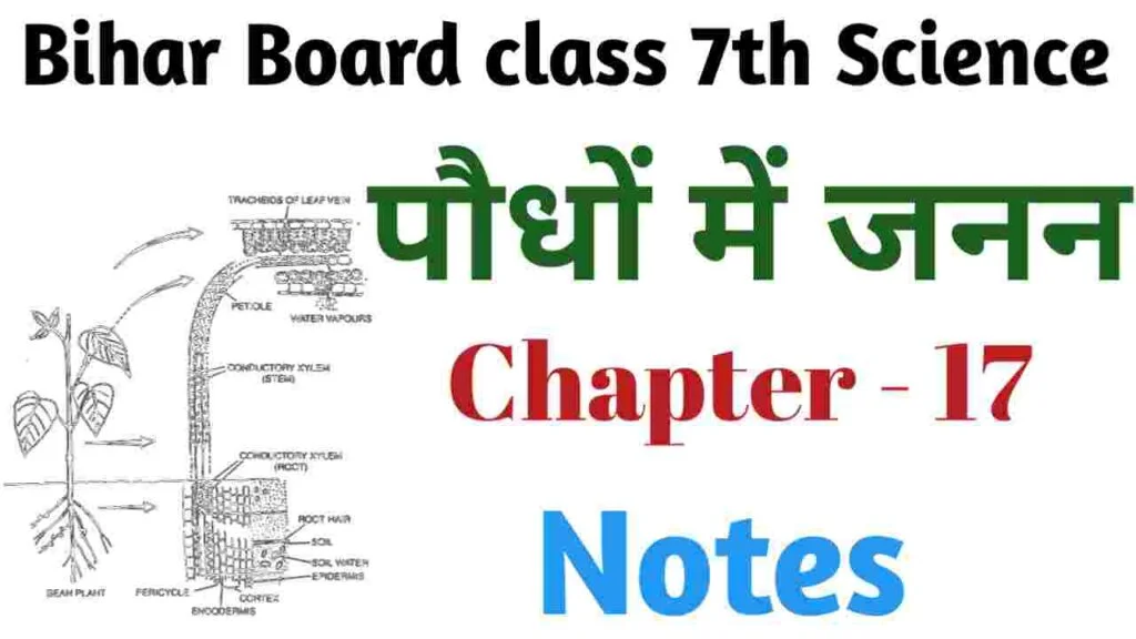 bihar board class 7 science solutions chapter 17