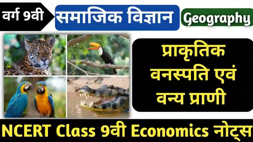 BSEB NCERT Class 9 geography chapter 5 notes in hindi प्राकृतिक वनस्पति तथा वन्य प्राणी