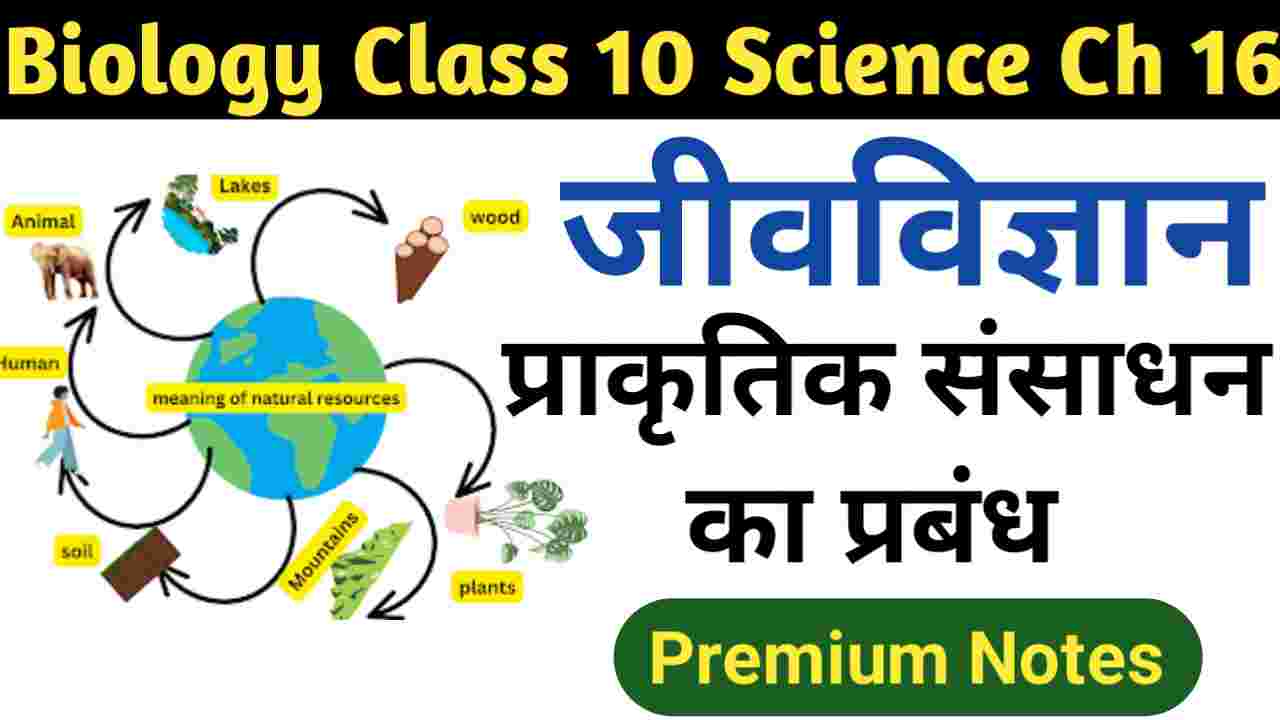 Bseb NCERT Class 10 Science Chapter 16 Notes