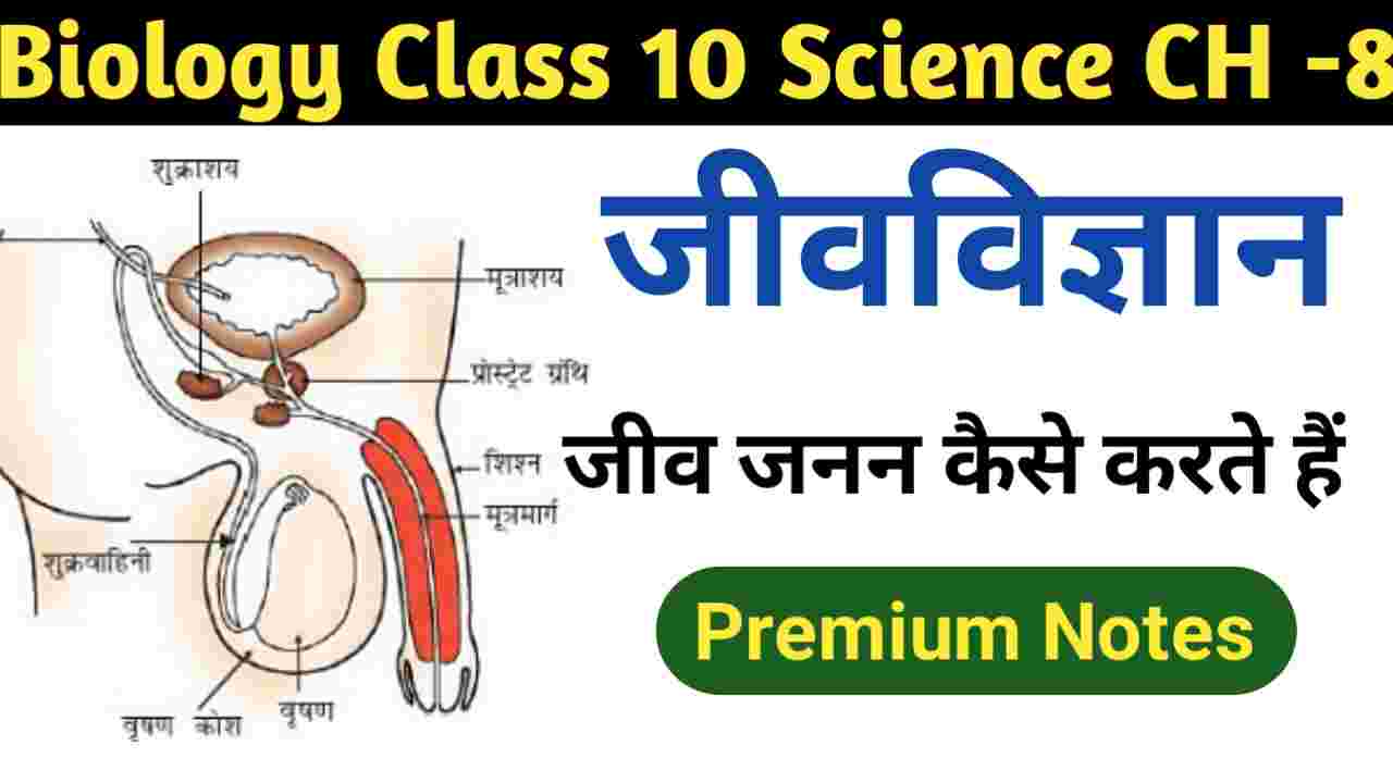 BSEB biology class 10 science chapter 8 solutions