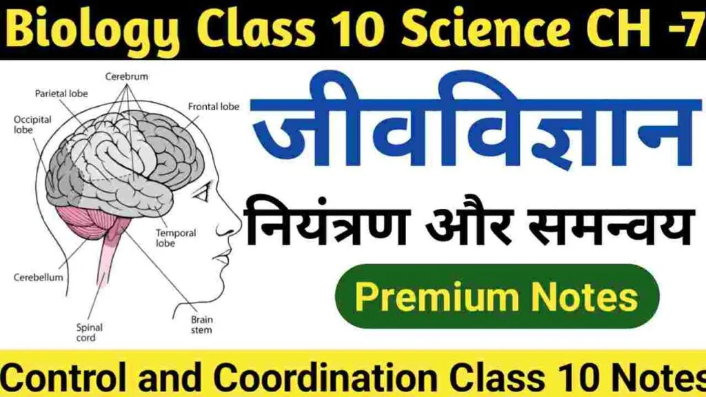 Control and Coordination Class 10 Notes in hindi नियंत्रण एवं समन्वय