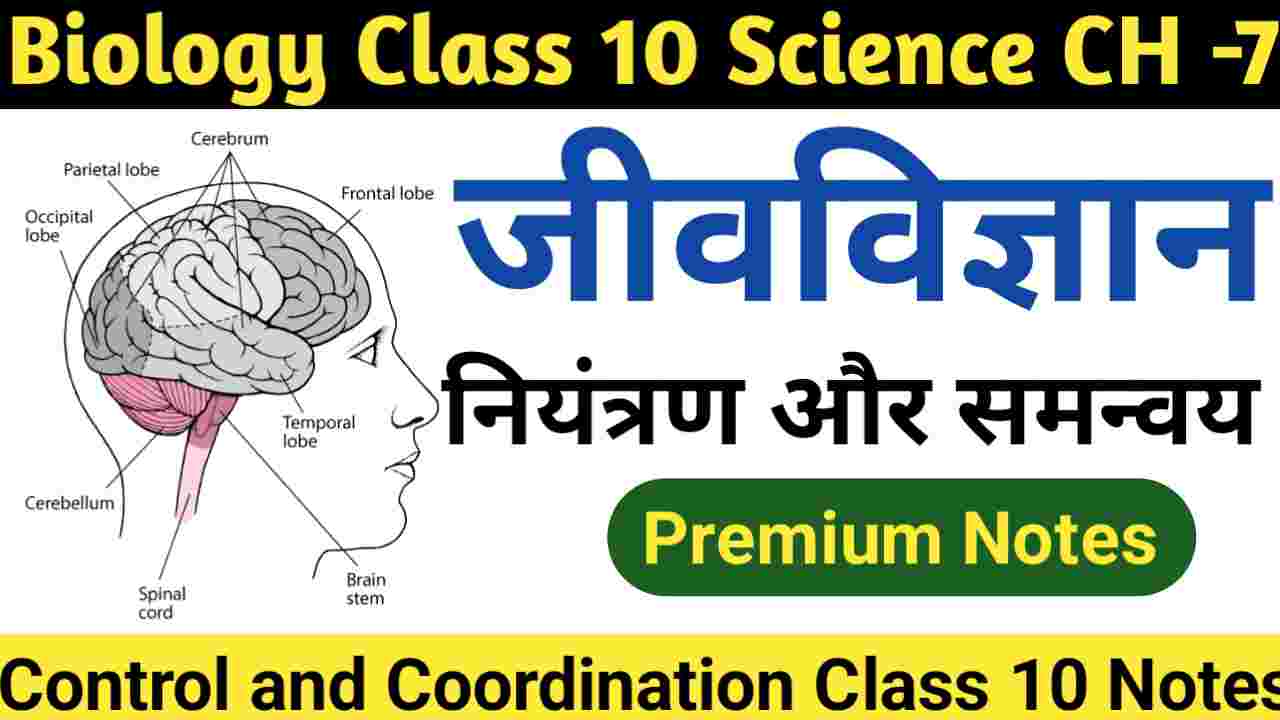 Control and Coordination Class 10 Notes in hindi