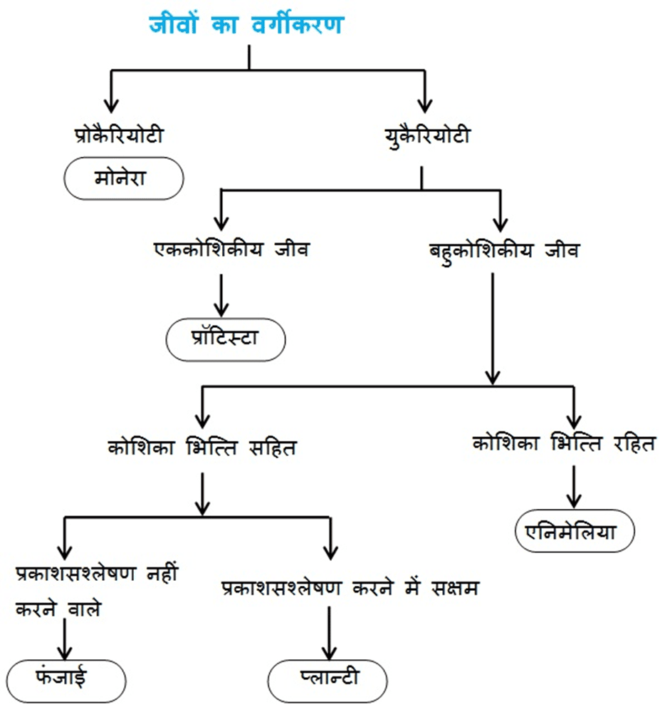 जीवों में विविधता - class 9 science chapter 7 notes in hindi