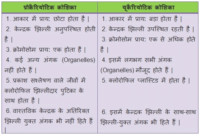 जीवन की मौलिक इकाई - class 9th science chapter 5 notes in hindi